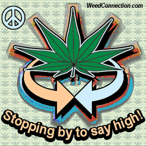 WeedConnection.com - Medical Marijuana Resource