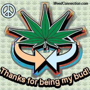 WeedConnection.com - Medical Marijuana Resource