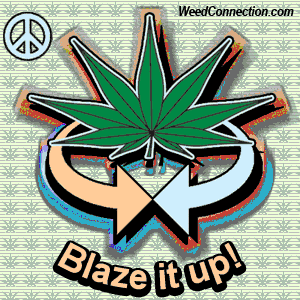 WeedConnection.com - Medical Marijuana Resource