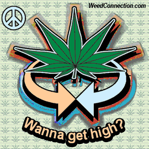 WeedConnection.com - Medical Marijuana Resource