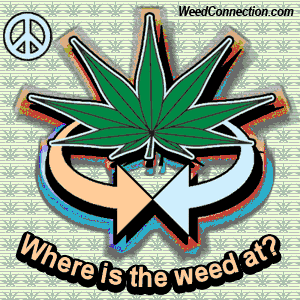 WeedConnection.com - Medical Marijuana Resource