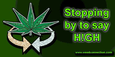 WeedConnection.com - Medical Marijuana Resource