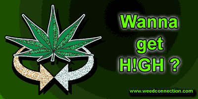 WeedConnection.com - Medical Marijuana Resource