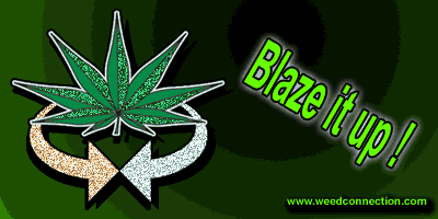 WeedConnection.com - Medical Marijuana Resource