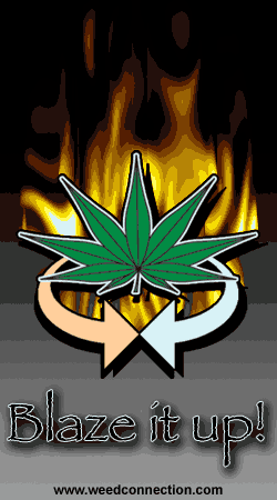 WeedConnection.com - Medical Marijuana Resource