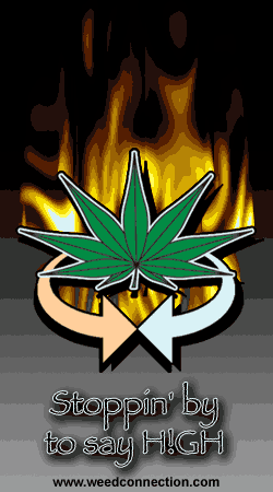 WeedConnection.com - Medical Marijuana Resource