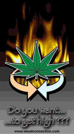 WeedConnection.com - Medical Marijuana Resource