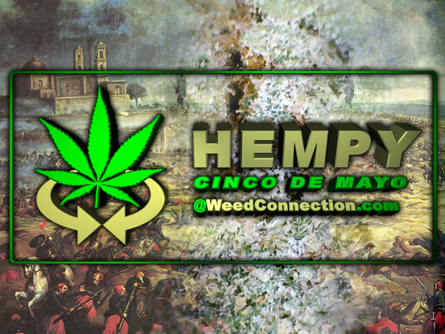 #Hempy #CincoDeMayo #2019