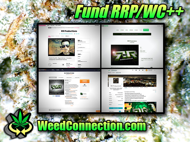 #CrowFund #EquityCapital