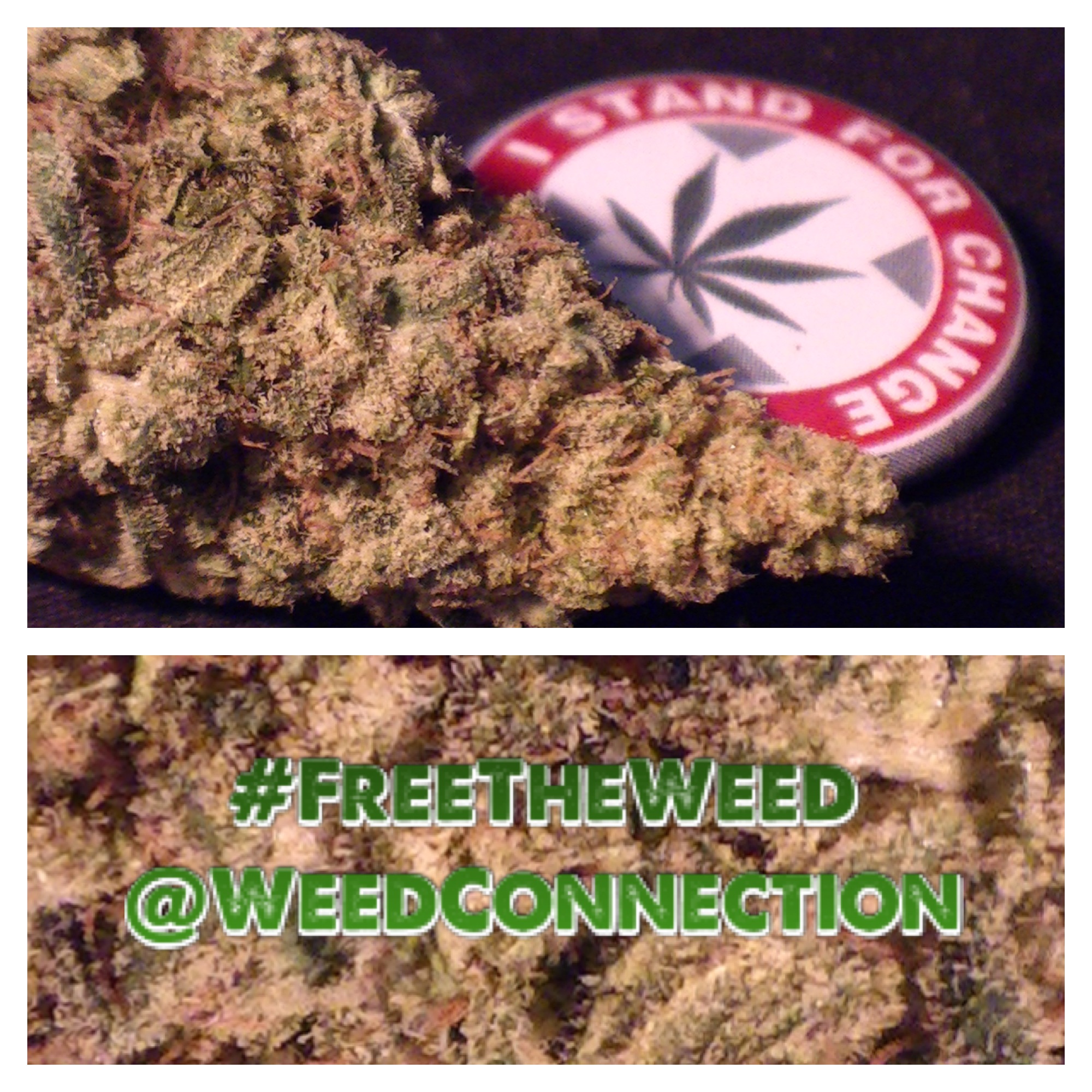 #FreeTheWeed #iG #OG
