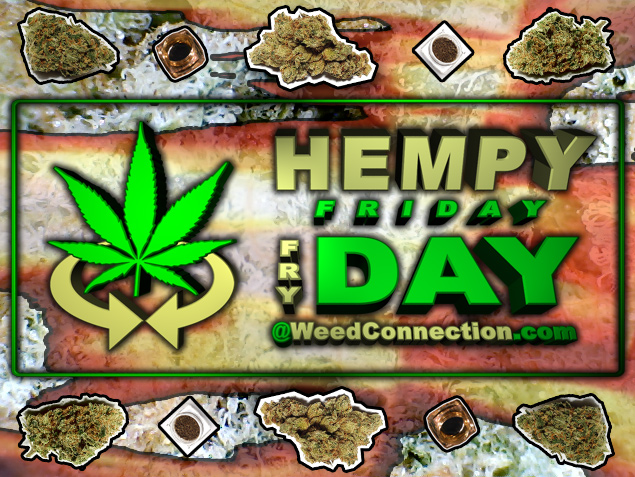 #Hempy #Fryday