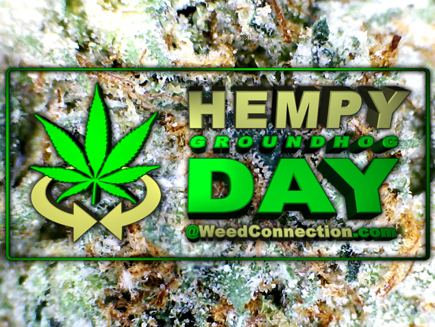 #Hempy #GroundhogDay