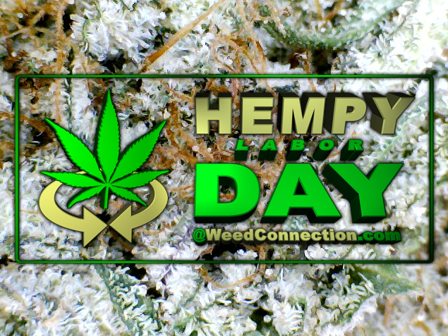 #Hempy #LaborDay #2016