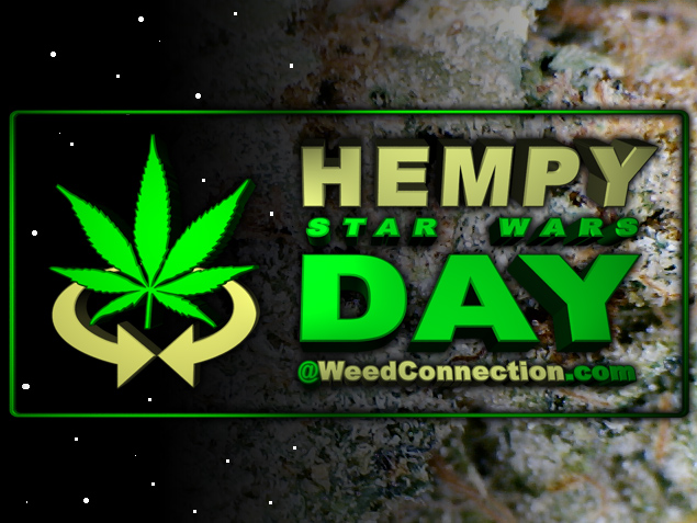#Hempy #StarWarsDay #2015