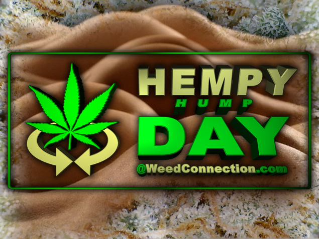 #Hempy #SundayFunday