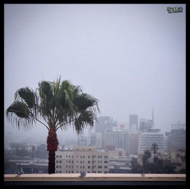 #SundayFunday #Showers