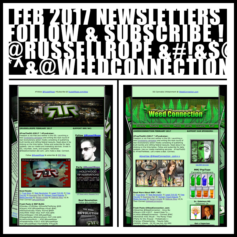 #Newsletter #February #2017