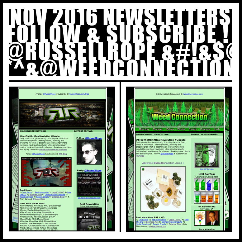 #Newsletter #Nov #2016