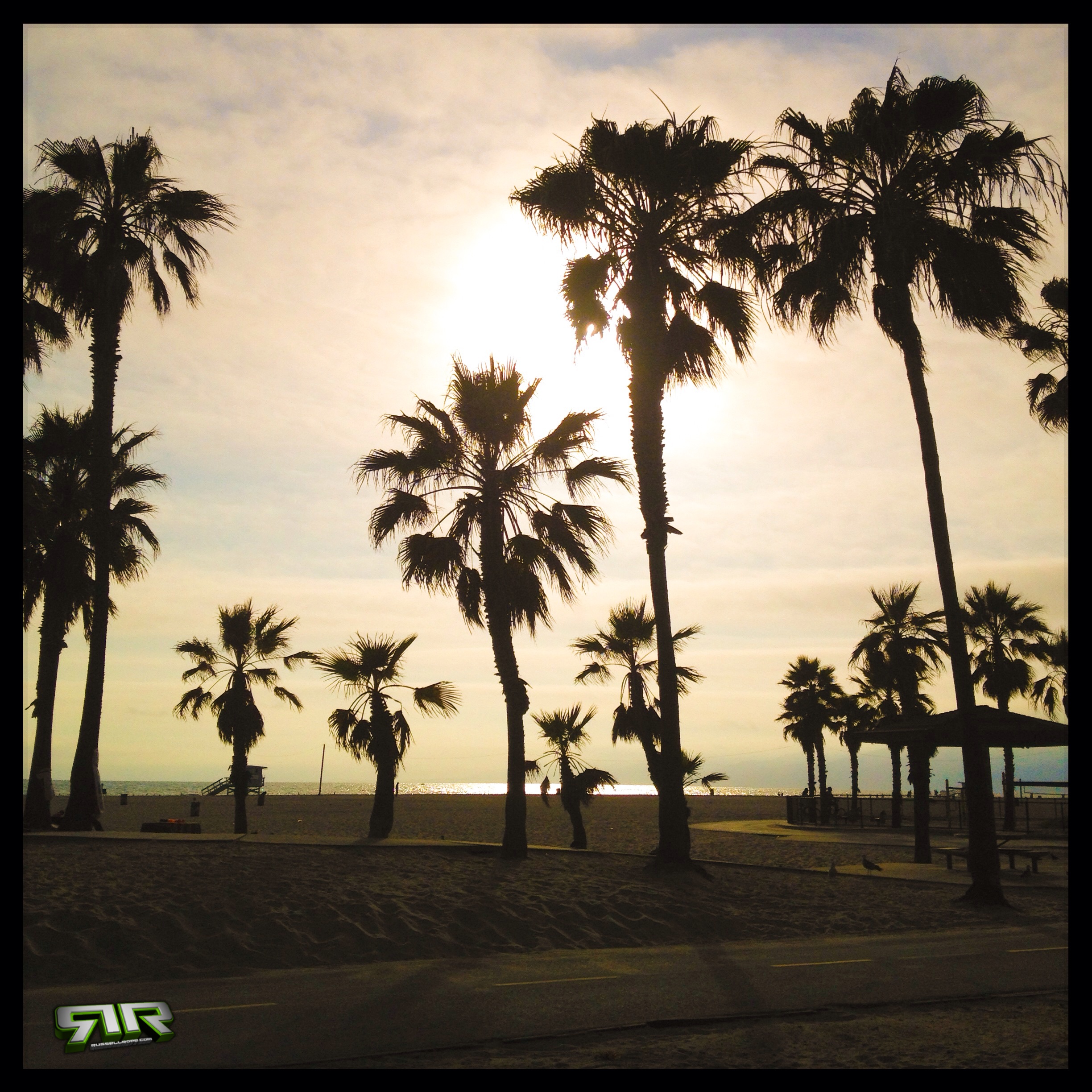 #PalmTrees and #KushClouds