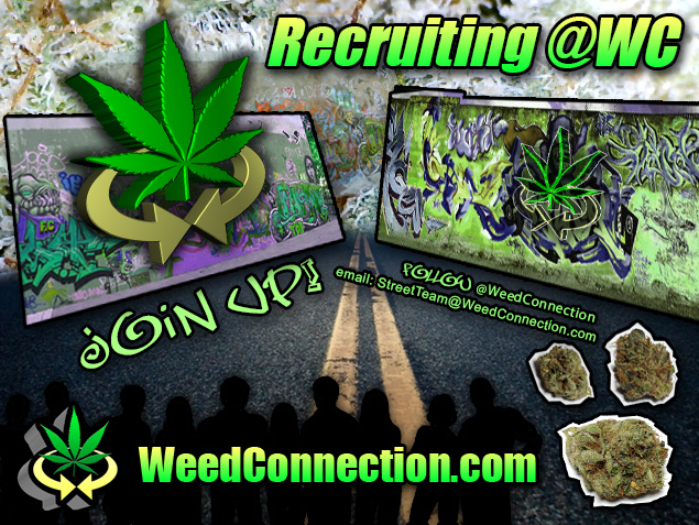 #Work @WeedConnection