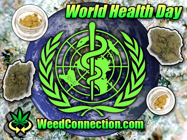 #Hempy #WorldHealthDay #2020