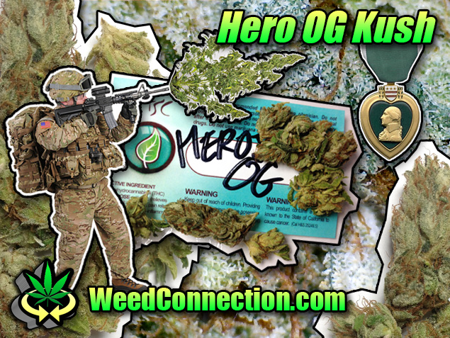 #Hero #OG #Kush #TBT