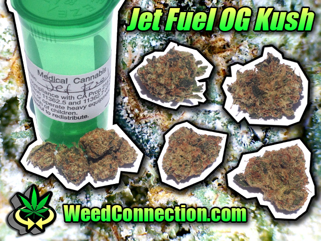 #JetFuel #OG #Kush