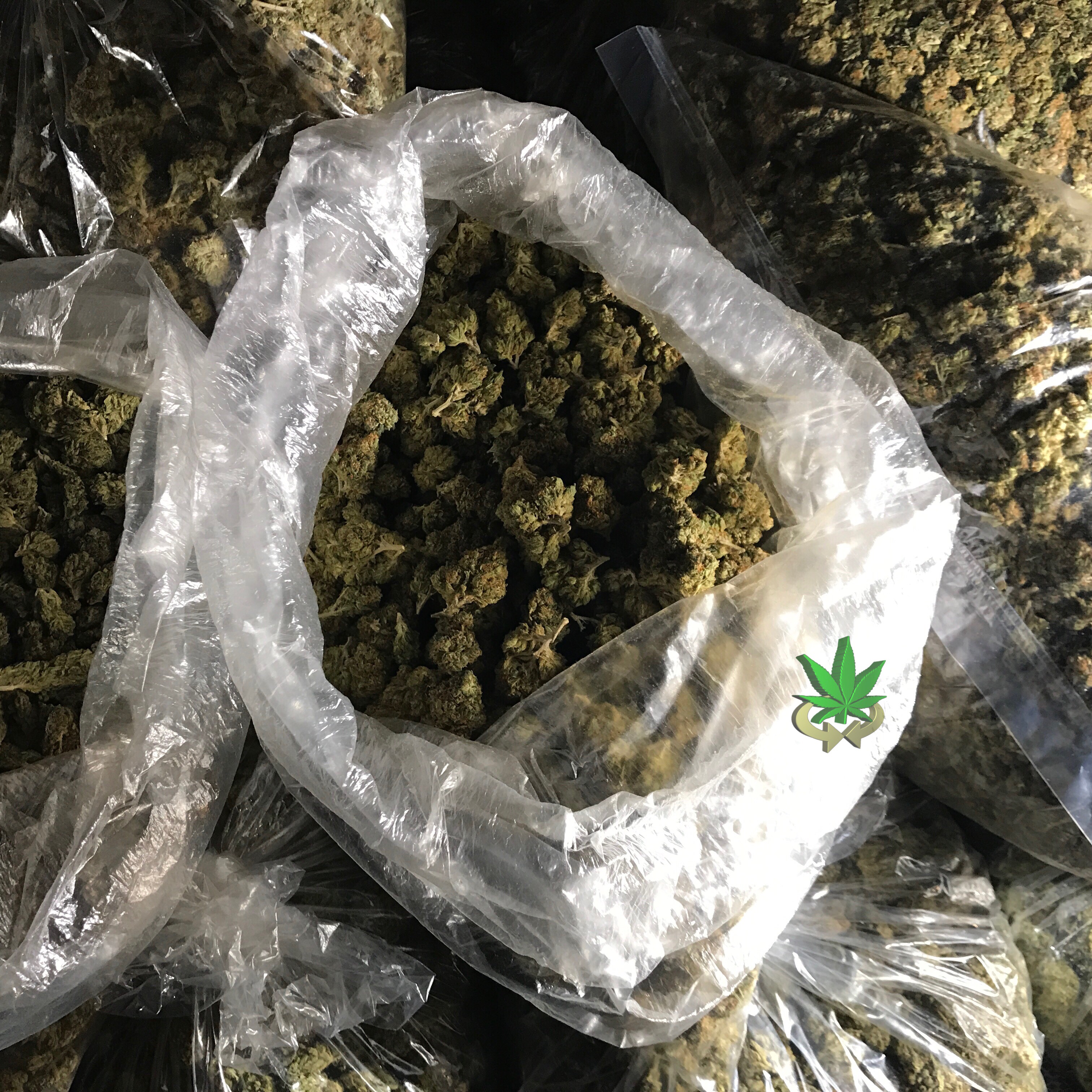 #Move #Weight @WeedConnection