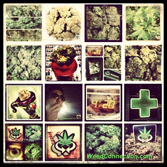 #instaGram #Kush #Photos @WeedConnection